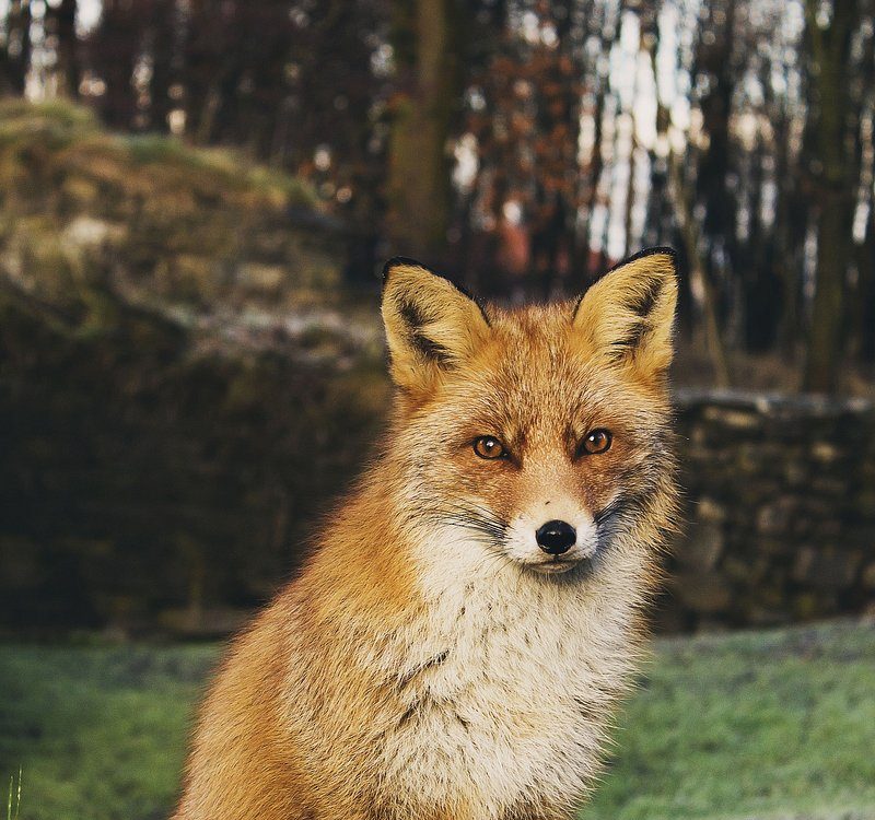 Chic And Unique: Elevate Your Home With Trendsetting Decor