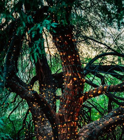 Beyond Decor: The Storytelling Magic Of Art In Your Home